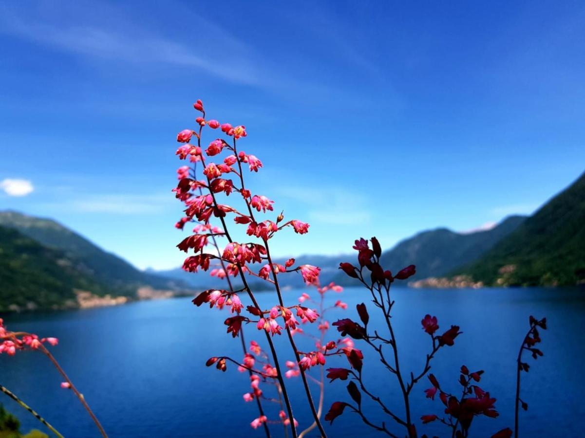La Rondinella - Loft With Fantastic View On Lake Como Apartment Argegno Bagian luar foto